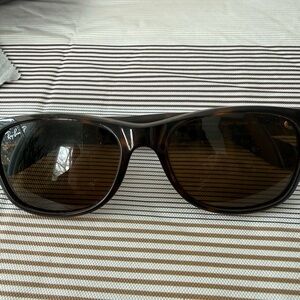 Ray-Ban Wayfarer Polarized Sunglasses